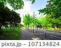 夏の早朝　大阪城公園の風景　森ノ宮側から大阪城への道程　2023-08-21 107134824