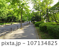 夏の早朝　大阪城公園の風景　森ノ宮側から大阪城への道程　2023-08-21 107134825
