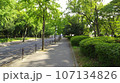 夏の早朝　大阪城公園の風景　森ノ宮側から大阪城への道程　2023-08-21 107134826