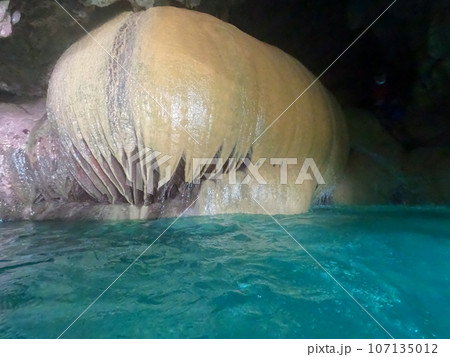 パンプキンホール 107135012