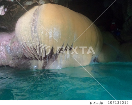 パンプキンホール パンプキンホール 107135013