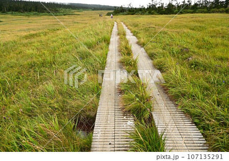 秋の八幡平 秋の八幡平 107135291