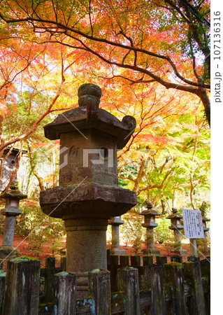 紅葉に包まれた談山神社の石燈籠（後醍醐天皇御寄進）／奈良県桜井市 107136316