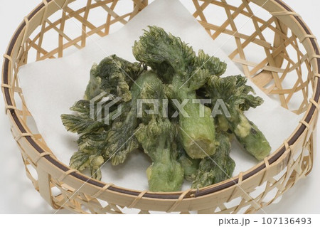 タラの芽の天婦羅 107136493