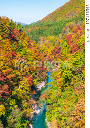 小安峡（秋） 107136548