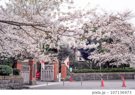 春の学習院正門 107136973