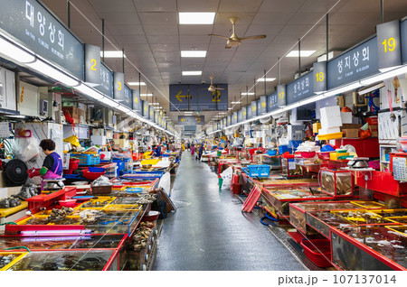 釜山 チャガルチ市場 釜山 チャガルチ市場 107137014