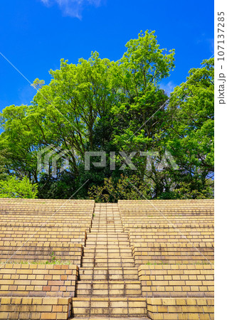 くにたち郷土文化館(東京都国立市) くにたち郷土文化館(東京都国立市) 107137285
