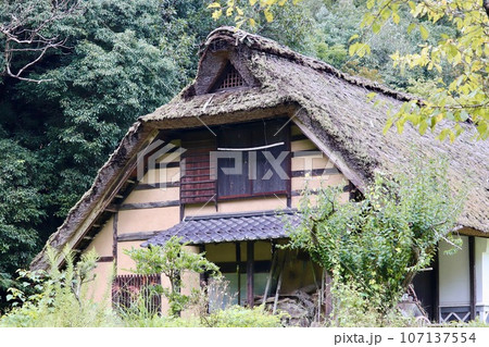 住む人のいない茅葺き屋根の古民家 住む人のいない茅葺き屋根の古民家 107137554
