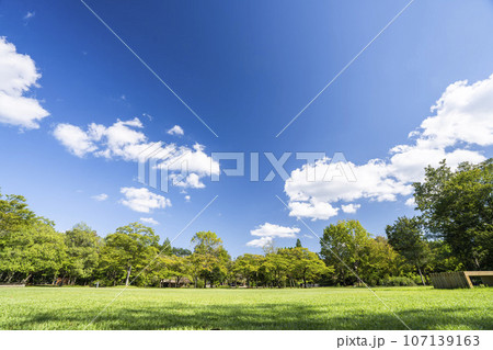 公園の風景 秋の風が吹く広場 宮城県川崎町 公園の風景 秋の風が吹く広場 宮城県川崎町 107139163