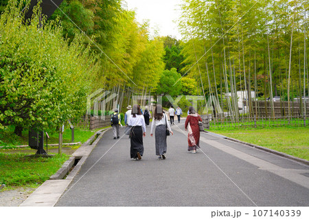 【大阪府】10月・コスモスを見に万博記念公園へ 107140339