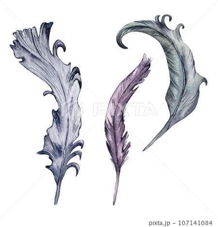 Watercolor grey feathers set isolated on white background. Gothic elements feather Illustration hand drawn. Gothic Dark Wedding Decoration in vintage style. Element for invitation, backdrop 107141084