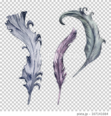 Watercolor grey feathers set isolated on white background. Gothic elements feather Illustration hand drawn. Gothic Dark Wedding Decoration in vintage style. Element for invitation, backdrop 107141084