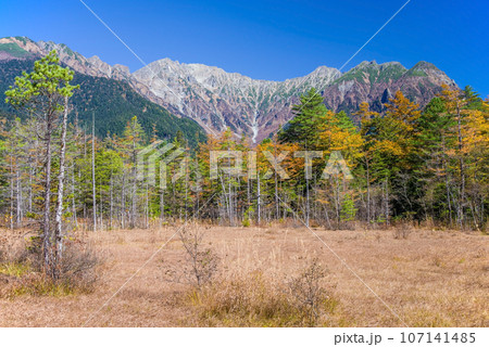 秋の上高地【田代湿原から見る穂高連峰】 秋の上高地【田代湿原から見る穂高連峰】 107141485