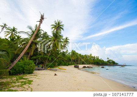 Beautiful sea wave beach with coconut palm tree sunny day 107141777