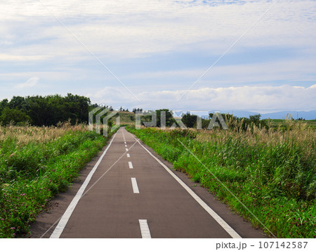 北海道稚内市沖の日本海に浮かぶ火山島の利尻島を一周する約60㎞の草原の中を走るサイクリングロード 107142587