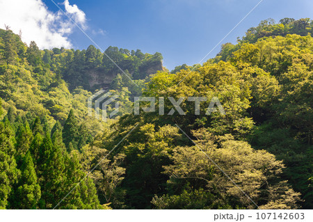 役行者により修験の霊地と定められた鳥取県三朝町三徳山 107142603