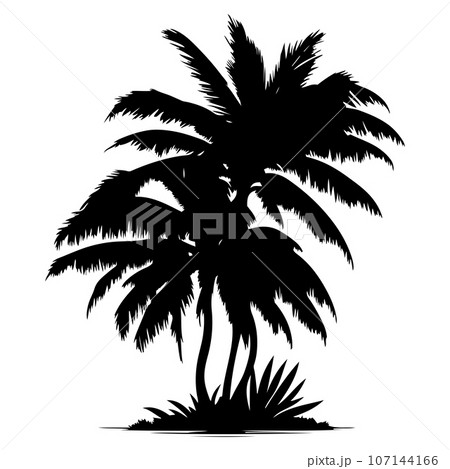 Palm Tree vector Palm tree silhouette Coconut tree vector silhouette	 107144166