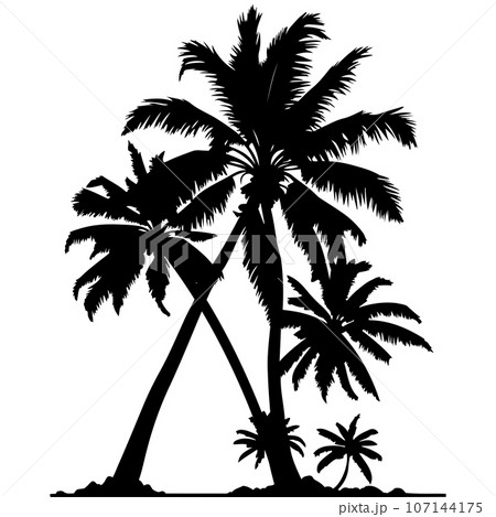 Palm Tree vector Palm tree silhouette Coconut tree vector silhouette	 107144175