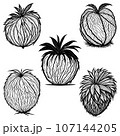 Coconut set, coconut outline icon vector illustration. 107144205