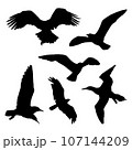 Flying Birds Silhouette, Group of flying birds silhouette	 107144209