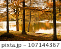 湖畔の夕景 107144367