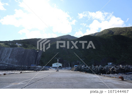 御蔵島の御蔵島港 107144467