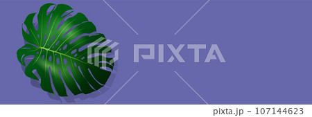 Biophilic design banner Biophilic design banner 107144623