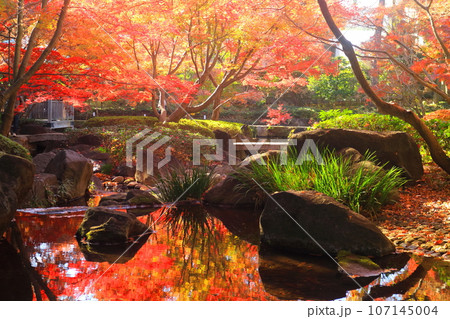 大田黒公園の紅葉 107145004