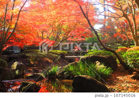 大田黒公園の紅葉 107145016