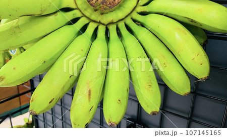 very fresh and ripe delicious banana cluster or banana hand or a bunch of bananas fruit healthy diet very fresh and ripe delicious banana cluster or banana hand or a bunch of bananas fruit healthy diet 107145165