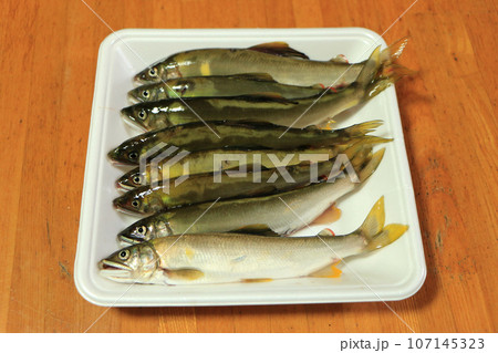 釣りたての天然アユ 釣りたての天然アユ 107145323