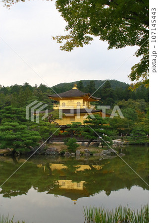 周りの松の風景とその佇まいが美しい京都の人気観光地の金閣寺 周りの松の風景とその佇まいが美しい京都の人気観光地の金閣寺 107145443