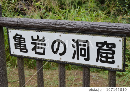 幸運の鐘 107145810