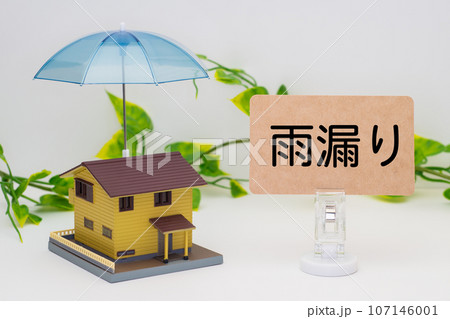 雨漏りした住宅のイメージ 雨漏りした住宅のイメージ 107146001