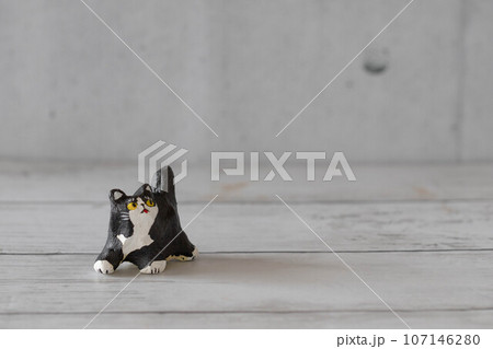何かを見つめる猫 107146280