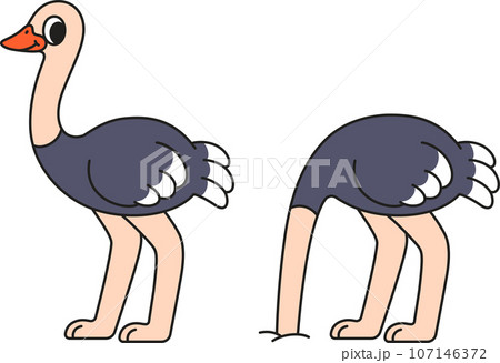 Cartoon ostrich character Cartoon ostrich character 107146372
