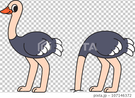Cartoon ostrich character Cartoon ostrich character 107146372