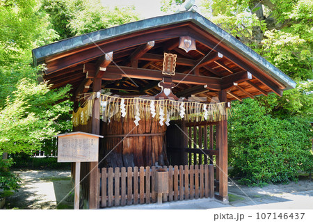 京都 わら天神宮（敷地神社）末社　綾杉明神 107146437