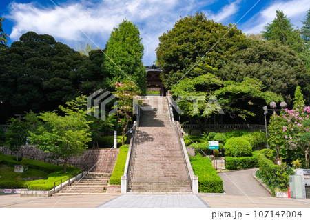 栃木県宇都宮市 宇都宮二荒山神社 参道 栃木県宇都宮市 宇都宮二荒山神社 参道 107147004
