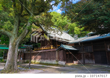 栃木県宇都宮市 宇都宮二荒山神社 本殿 107147017