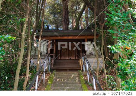 栃木県宇都宮市 宇都宮二荒山神社 東照宮（おたりや堂） 107147022