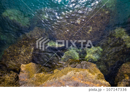 Top view on sea water with underwater stones, nature background Top view on sea water with underwater stones, nature background 107147336