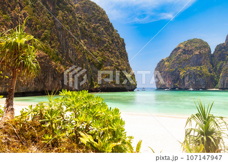 The legendary Maya Bay beach without people where the film "beach" with Leonardo DiCaprio was filmed with a beautiful bay of sand and clear turquoise water. UNESCO World Heritage. The legendary Maya Bay beach without people where the film "beach" with Leonardo DiCaprio was filmed with a beautiful bay of sand and clear turquoise water. UNESCO World Heritage. 107147947