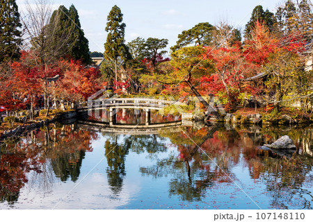 Autumn leaves at pond and bridge in garden of Eikan-do, Kyoto Autumn leaves at pond and bridge in garden of Eikan-do, Kyoto 107148110