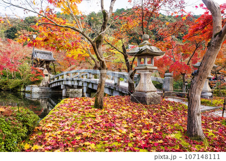 Eikando temple park with colorful autumn maple leaf, Kyoto Eikando temple park with colorful autumn maple leaf, Kyoto 107148111