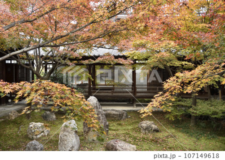秋の潮音庭 建仁寺 秋の潮音庭 建仁寺 107149618