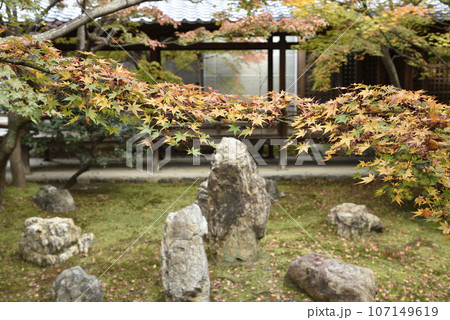 秋の潮音庭　建仁寺 107149619