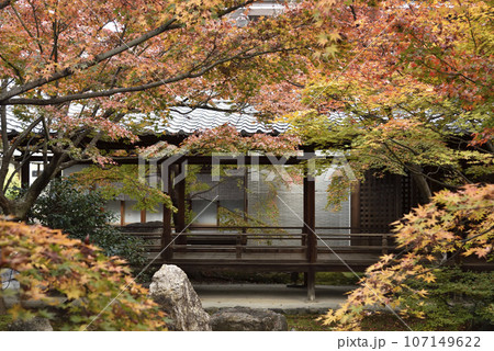 秋の潮音庭 建仁寺 秋の潮音庭 建仁寺 107149622