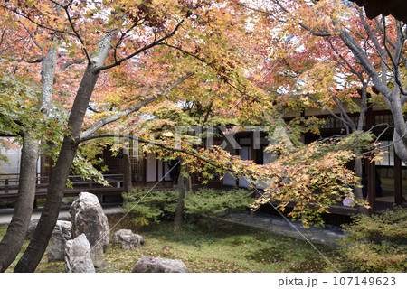 秋の潮音庭　建仁寺 107149623
